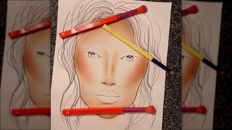 makeup brushes on face chart