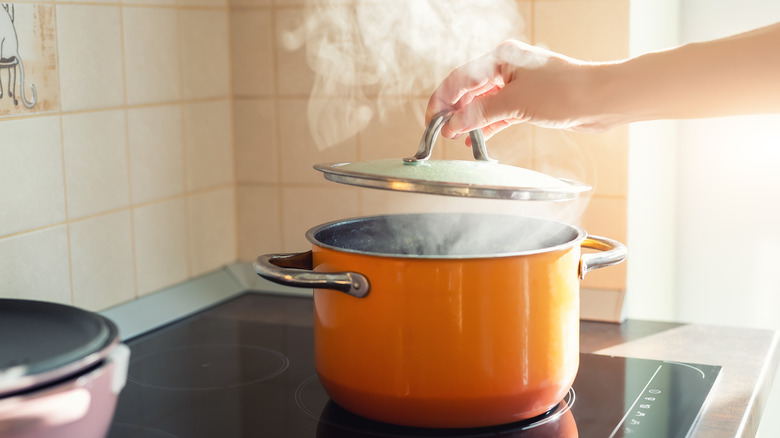 a hand lifting the lid of a pot with steam coming out of it