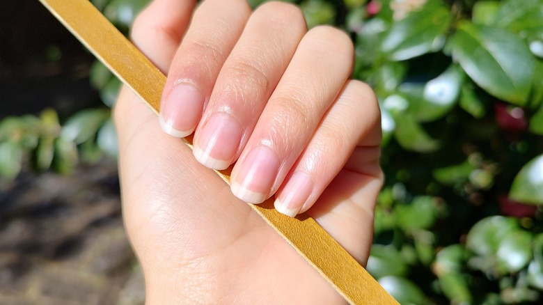 natural nails holding nail file