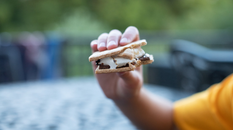 person holding bitten s'mores