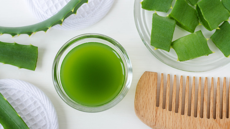 Aloe vera gel in a dish