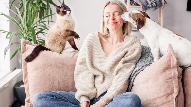 Woman on couch with dog and cat