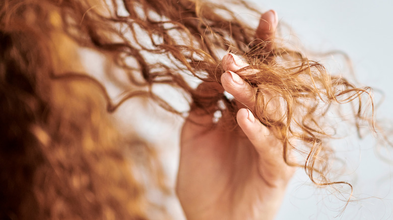 Woman with dry, damaged curly hair