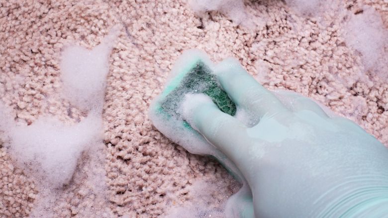 gloved hand with green sponge cleaning pink carpet