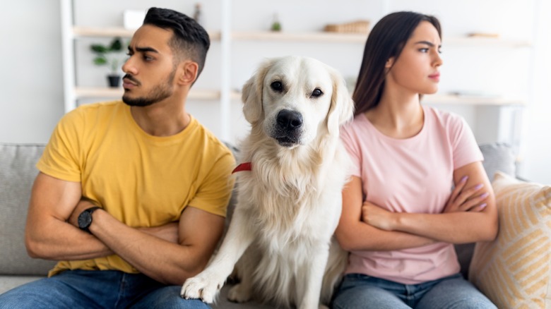 couple with dog on a couch 