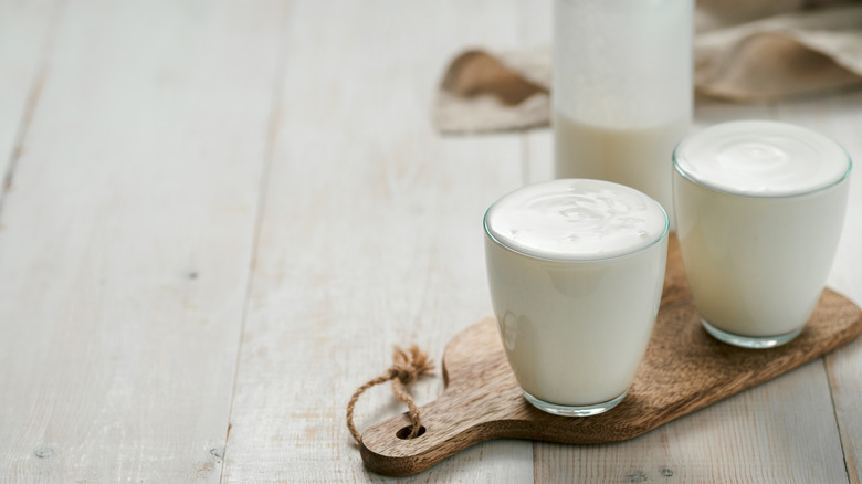 probiotic kefir yogurt