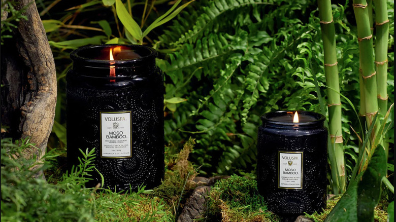 2 sizes of Voluspa Moso Bamboo candles against greenery