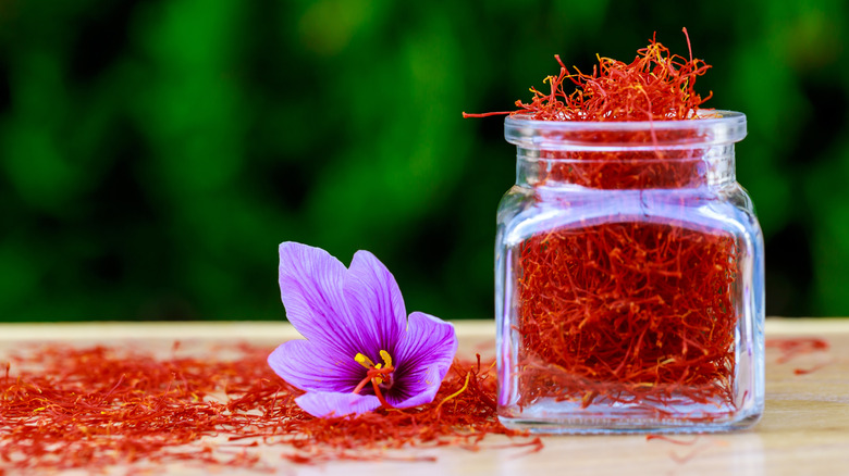 saffron red spice and flower 