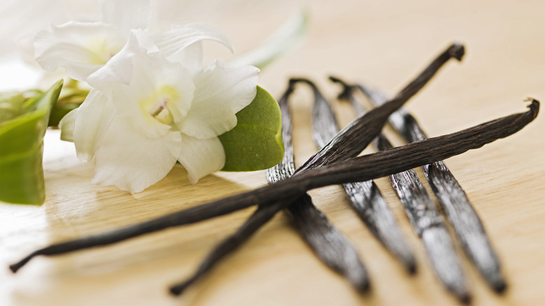 vanilla seed pods and flower 