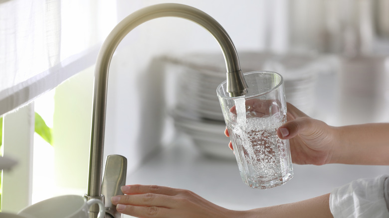 woman holding glass of water