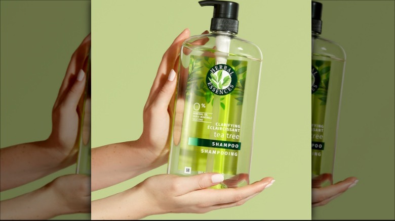 Bottle of shampoo green background