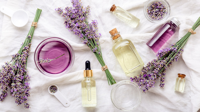 essential oil of lavender