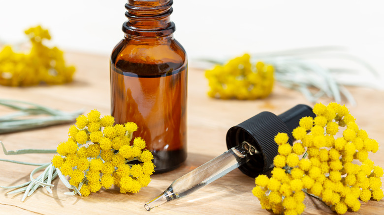 essential oil of helichrysum flowers