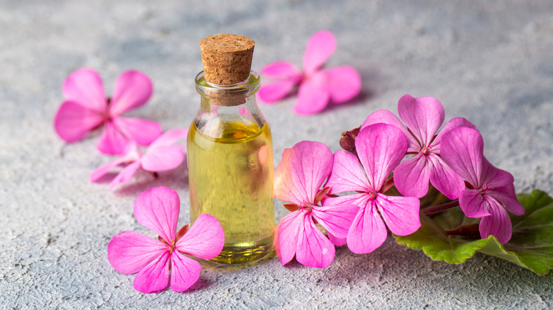 essential oil of geranium flowers