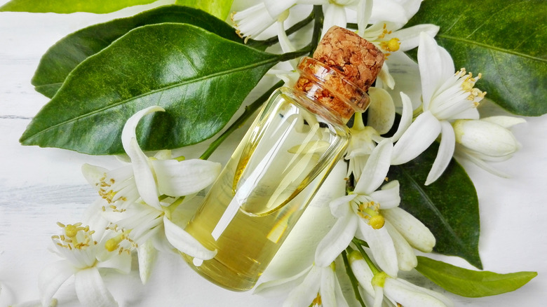 essential oil of neroli flowers