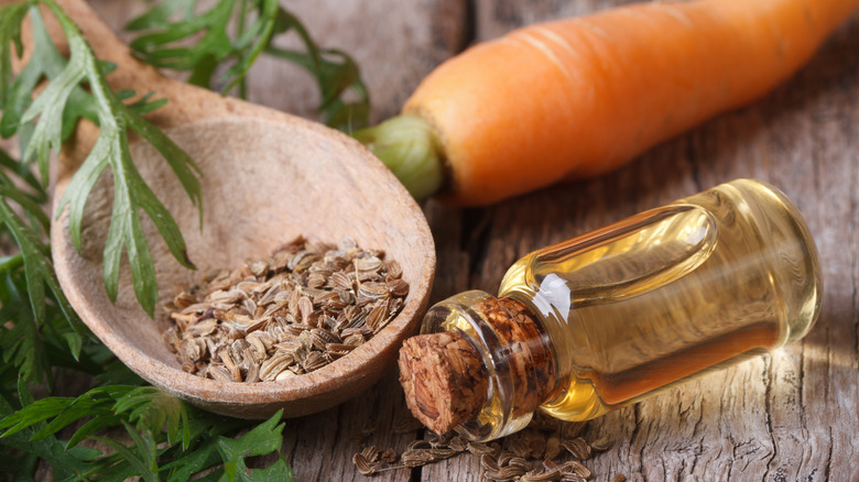 essential oil of carrot seeds