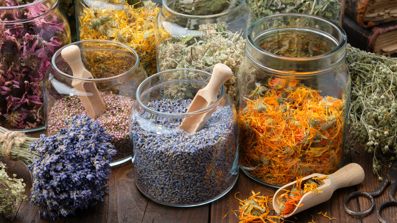 Lavender and other herbs