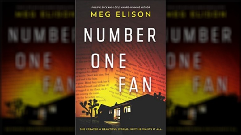 Number One Fan book cover 