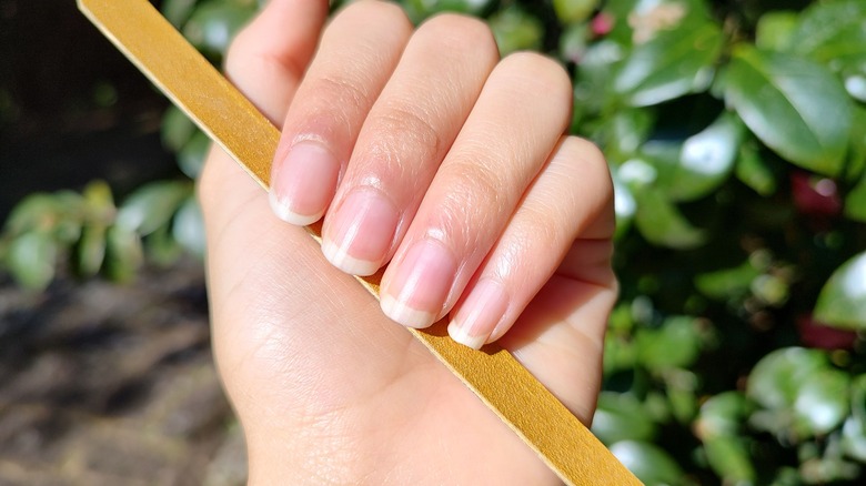 Woman's hand holding nail file