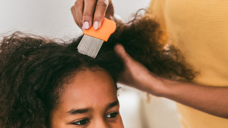 woman checking scalp for lice