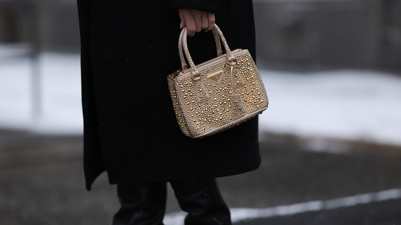 Sonia Lyson's handbag