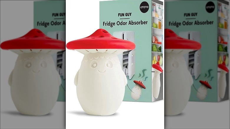 Fridge odor absorber