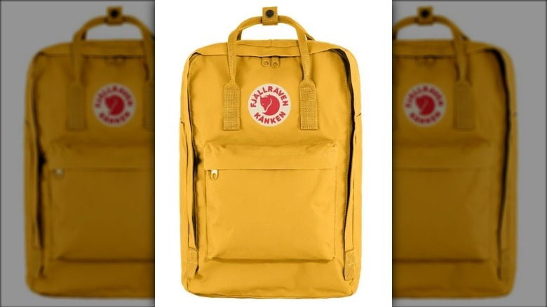  Fjällräven Kånken Laptop backpack