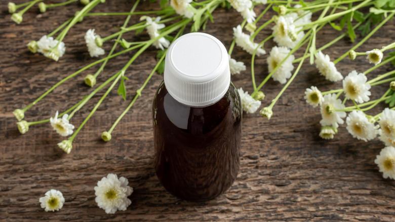 Feverfew flowers and a bottle of essential oil