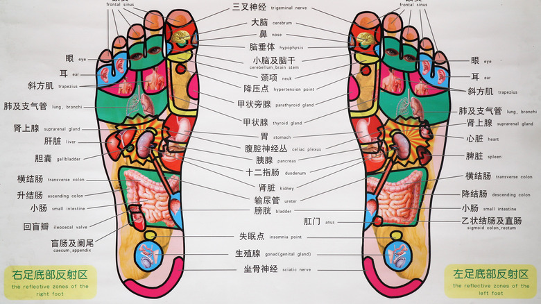 foot reflexology chart