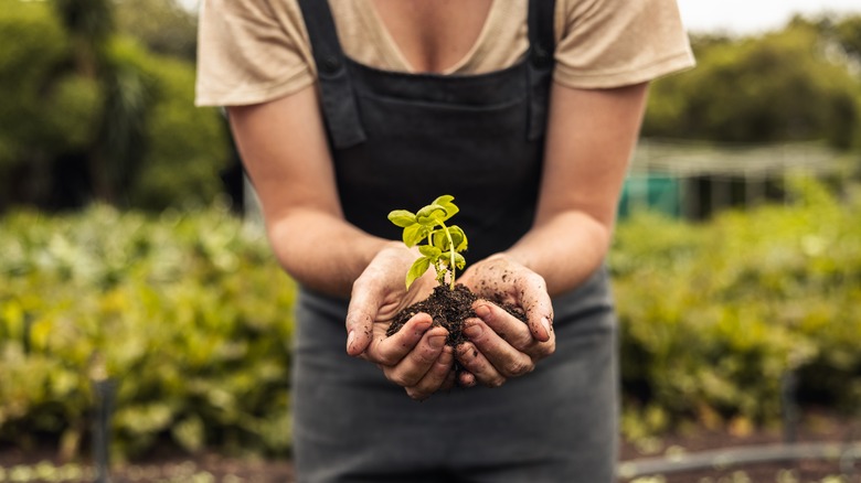 Woman outside holding a plant