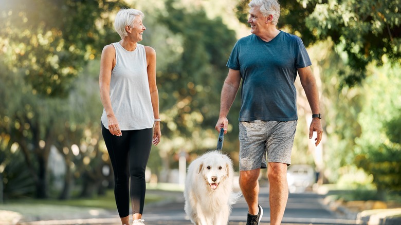 Senior couple walking their dog