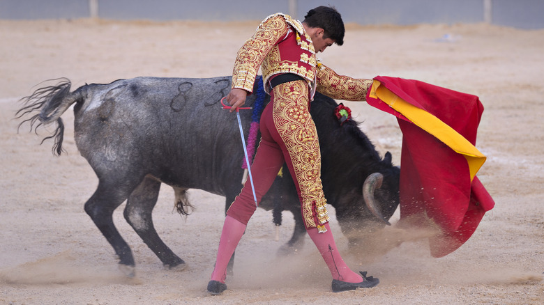 Matador with a bull