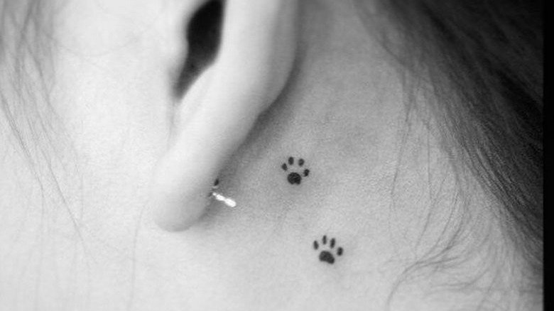 paw print tiny ear tattoo