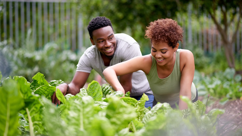 young couple gardening outside together