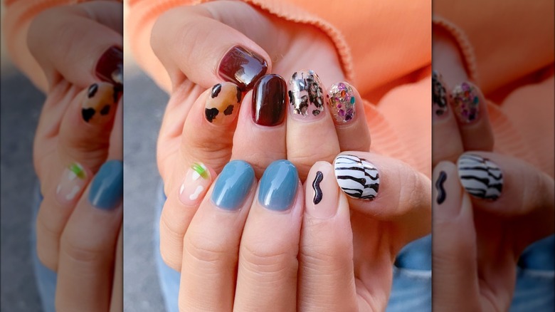 Multicolored assorted manicure