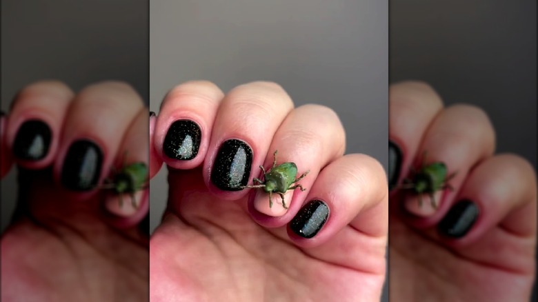 black nails with bug