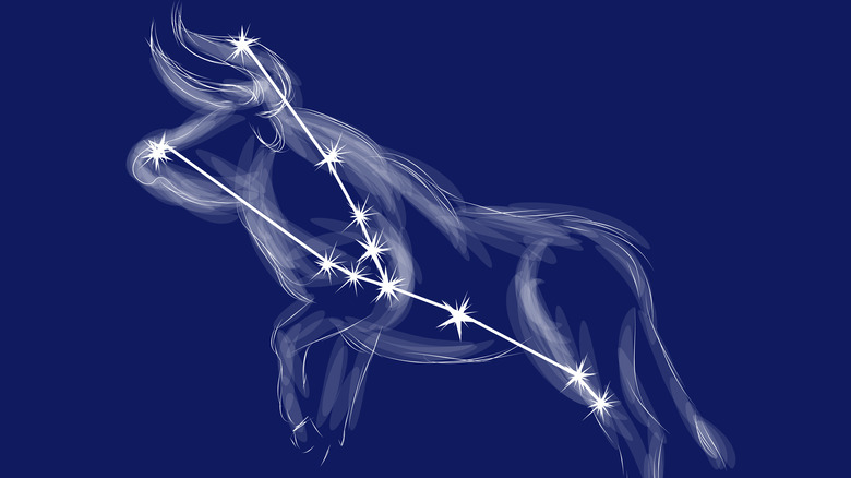 Taurus constellation art