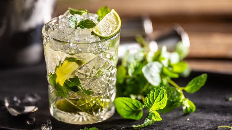 virgin Mojito