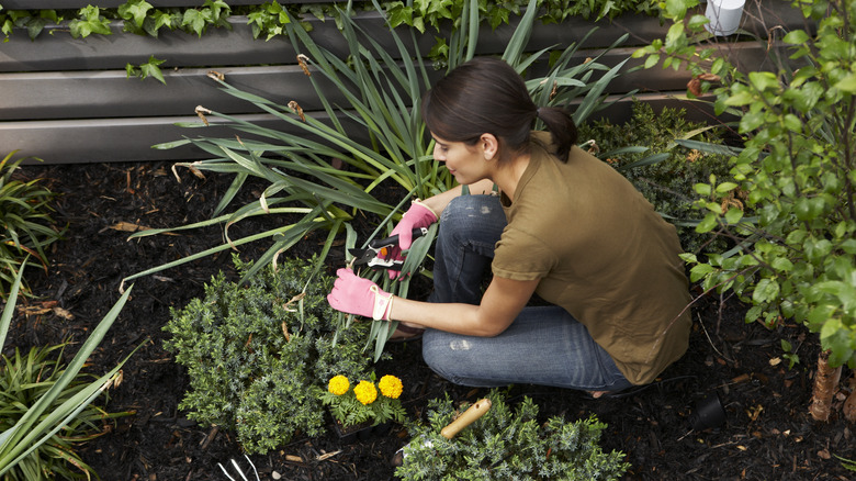 woman gardening in yard