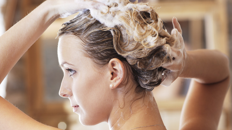 Woman lathering shampoo in hair