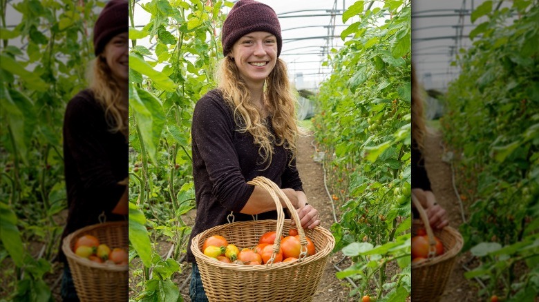 woman holding a basket of tomatoes