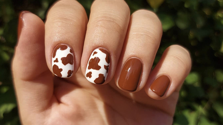 Brown cow nails