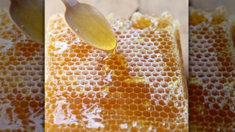 honey honeycomb Hungarian bees