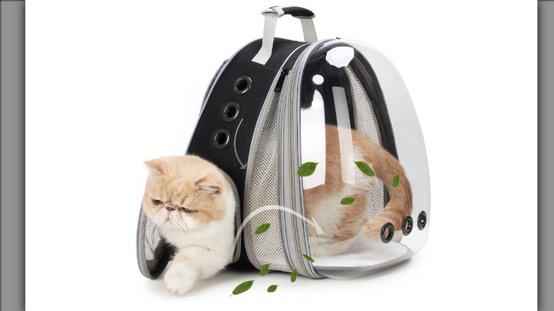 Lollimeow Backpack Pet Carrier