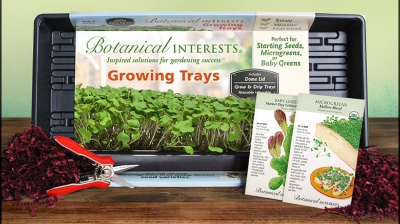 Botanical Interests Kitchen Garden Gift Set