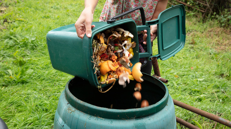 Composting bin