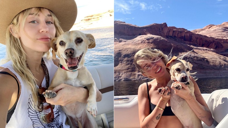 Miley Cyrus vacation with dog