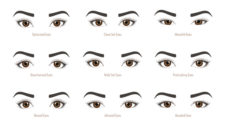Different eye shapes