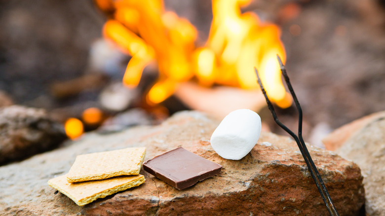 s'mores at a campfire