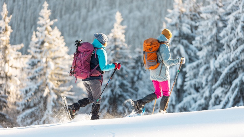 snowshoeing couple